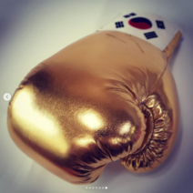 가미복싱 골드 실버 선물용 글러브 6온스 싸인용 전시용