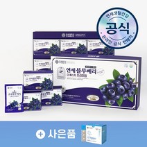 연세생활건강 블루베리 더베스트 프리미엄 70ml x 30포 항산화 과채주스 식이섬유, 연세 블루베리 1박스