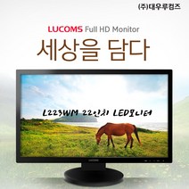 22인치 대우 루컴즈 L223WM 듀얼모니터 FHD1920X1080