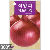 적작두콩 씨앗 10립 - 씨 작두콩씨앗 작두콩씨 작두콩 콩씨앗 콩씨 텃밭 주말농장, 14_적양파적토마킹(300립)