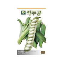 (DN) 작두콩 씨앗(30립)
