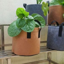 으라차차/부직포 화분 베란다 텃밭 대파 키우기 2갤런 20x20., 3화분2갤런-브라운