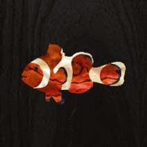 인레이스티커 기타 장식용 스티커 데칼 Clownfish #154 [Ukulele Headstock]