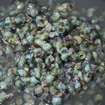 국내산 올갱이 손질다슬기 깐다슬기 100g 냉동깐다슬기, 푸띠 깐다슬기 100g 정제수100g+육수2봉