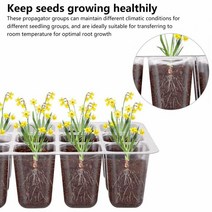 왕겨 온실 잡초매트 미니온실 하우스용비닐 보온덮개 Greenhouse Nursery Pots Herbs Indoor Label Mini Pe, 한개옵션0