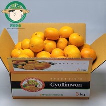 브랜드없음 [방씨아들]제주 감귤 귤림원 최상급 타이백 고당도 로얄과 4.5kg(2S/S/M), 단품없음