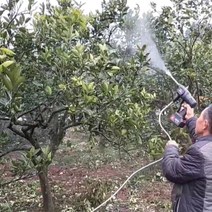 충전분무기 농약 세차 전동 충전식 분무기 살수기 워터건, 기본_수도관 5미터, 5미터