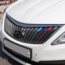 [간지]그랜저 HG 그릴 커버 자동차 외관 바디 스타일링 튜닝 데칼 스티커 랩핑 용품, C.프랑스(조수석), 1개