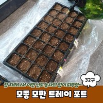 모비딕파워 [모비딕파워] 육묘상자 흙갈이 화분깔망 원예모종판 퇴비 화단가꾸기, 넥시&아리&코스▶ 모종 모판 트레이 포트 32구, 넥시&아리&코스▶