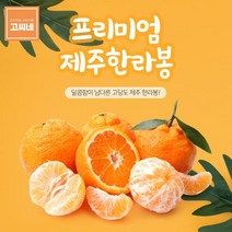 고씨네 특급 한라봉1kg 제주한라봉 한라봉 천혜향레드향 천혜향 한라봉 제주한라봉 제주천혜향 한라봉제철 제주도한라봉 제주레드향 제주도레드향 천혜향제철, 1개