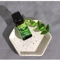 베티버 10ml 베티버뿌리오일 벤자롱 에센셜오일 편안한 향 숙면을 취하고 싶다면?!