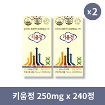 [본사정품] 키움정 250mg x 240정 2개 세트 어린이 성장 보조 영양제, 240정 × 2개