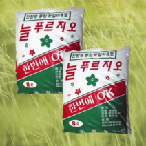 16L 몬스테라 아라우카리아 녹보수 크루시아 분갈이, 0.늘푸르지오 8Lx2개