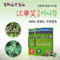 붙이는쑥뜸 약쑥뜸 강화미니뜸 명품미니뜸 180p 5개, 상세페이지 참조