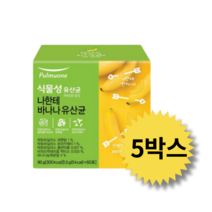 풀무원 식물성유산균 어린이유산균 나한테바나나 효소 락토바실러스균 포스트바이오틱스 (1.5g x 60포) 2상자, 5상자(300포)