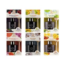 불스원 프리미엄 그라스 차량용 디퓨저 105ml 6종 중 택1, 자몽 피오니, 1개