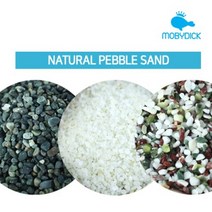 모비딕 어항 바닥재 자연 오색사 3kg, 단품, 수량