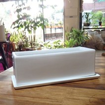 ppp 유광도기화분 옆이 넓은 직사각 30x10x10cm