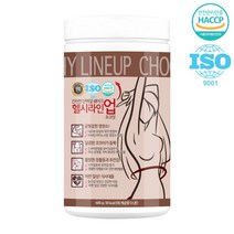 비케이뉴트리션 게이너마트 여성전용 단백질 쉐이크 헬시라인업 600g 쵸코맛(게이너마트 식사대용 단백질쉐이크 단백질), 1