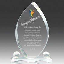 상패뜰 크리스탈 상패216 상패 감사패 공로패 퇴직기념패 부모님감사패 교회패 부모님선물 송공패 퇴직패 환갑 칠순 팔순 어버이날선물 정년퇴직패 전역패 임직패 장기근속패 공로패