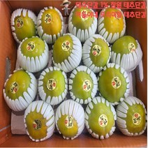 [프리미엄] 창원 명품 태추 단감 딱 한달간 수확, 특품2kg, 1개