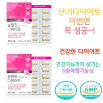 단기간 학생다이어트 가르시니아 HCA 탄수화물컷팅제 살빨리빼는법 살빼기 차전자피 팔뚝살 승마살 급찐살 뒷구리살 허벅지안쪽살빼기 셀룰라이트없애는방법 하체다이어트 팔뚝살 다이어트방법