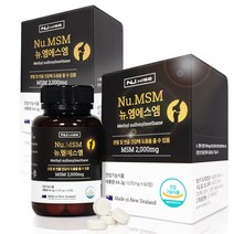 뉴와이즈 뉴질랜드 초록잎홍합 무릎관절 연골 건강 MSM 엠에스엠 60정 1개월, msm 60정 2개월