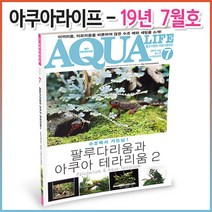 아쿠아라이프 2019년 7월호 (한국어판)