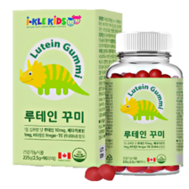 아이클키즈 루테인 90꾸미 어린이 눈 영양제 젤리, 90꾸미 1개, 90개, 1개