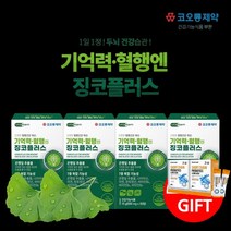 두뇌 머리 기억력 집중력 혈행 감퇴 억제 관리 개선 에 좋은 은행잎 징코 ginko 추출물 보조 영양제 중년 노년 여성 남성 (사은품 증정), 4BOX(4개월분)+사은품2개