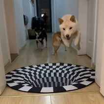 (주)트리 인천가정지사 싱크홀 3D 입체 착시매트 120cm 인테리어러그 (8443393)