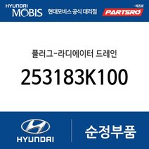 플러그-라디에이터 드레인 (253183K100) 투싼 아반떼HD 베라크루즈 NF쏘나타 그랜저TG 뉴 슈퍼