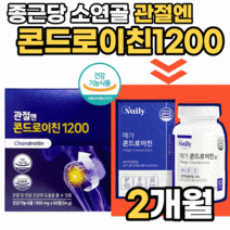 관절엔 콘드로이친 1200 소연골 상어연골 콘트로이친 콘토로이친 콘트라친 콘드로이 콘드론친 콩드로이친 콘드루이친 콘드라틴 콘트론 50대 60대 관절 건강 부모님 선물 영양제, 옵션2. 메가콘드로이친 2박스 (2개월)