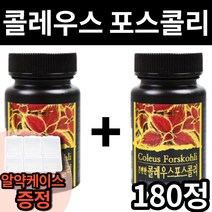 1+1 콜레우스 코레우스 콜레스 콜리우스 콜리스 콜레으수 포스골리 포스콜리 코스폴리 코폴리 포스콜 포스리 포콜리 모스콜리 보스콜리 포스콜린 체지방 감소 도움 줄수있는 에좋은 식품