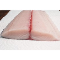제주 삼치회 대사이즈 예약 분할판매 500g 한선 제주한림수산, 1개