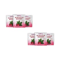 FruitMe Miracle Berry 후르츠미 미라클 베리 드라이드 후르츠 타블릿 0.4g 6팩