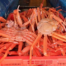 프리미엄 울진 박달홍게 /육수용 3마리 추가 증정 2kg 3kg, (대) : 4~5마리 총 2kg