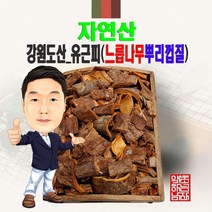 자연산 강원도산_유근피(느릅나무뿌리) 300g/100g (경북 영천) 국내산 국산 야생, 100g