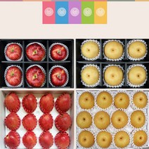 백화점용 VIP 과일 선물세트 과즙이 풍부한 신고배 6과, 상세페이지 참조, 신고배 3.8kg 6과