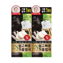 미쟝센 쉽고 빠른 거품 염색약(2N 흑색)무배 염모제, 없음, 2개