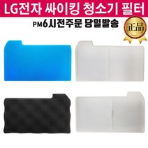 LG 싸이킹 청소기 정품 모터보호 필터 C40SGY C74SGN -, 2.스펀지, 1개