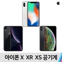 아이폰 아이폰X 아이폰XR 아이폰XS, B급 무관(빠른출고), 아이폰X (256기가)