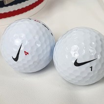 부담제로 로스트볼 타이틀리스트 유명메이커 골프공, 1set, 22. 나이키 A-급 20개