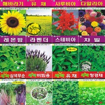 SN월드 꽃씨앗 모음 꽃씨 야생화 허브 새싹, (야생화-금낭화20립)