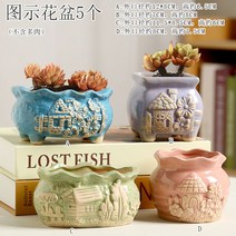 다육화분 다육이 심폴 화분 식물 미니 화분세트, 도자기, 옵션14