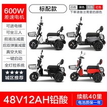 3륜 전기 오토바이 어르신 전동 전동차 2인승 3인승 삼륜 스쿠터, 600W 모터 + 48V12A