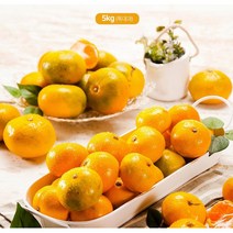 신선한 큰사이즈 제주 조생 감귤 L 5kg 정성가득 40대