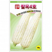 (옥수수종자씨앗) 찰옥4호(35g)