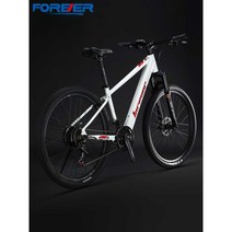 영구 리튬 배터리 전원 전기 자전거, F5027.5인치21단 체인지블루5.0AH, 1개