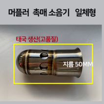 머플러 촉매 소음기 일체형 ( PR2 엔맥스 엑스맥스 PCX 포르자) 마후라 튜닝 오토바이, 촉매소음기일체형